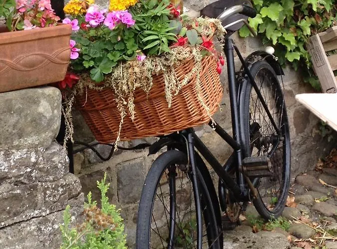 여관 The Bull West Tanfield 리펀