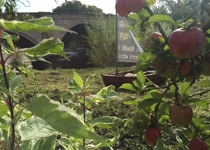 The Bull West Tanfield