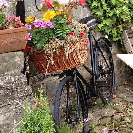 Han/Misafirhane The Bull West Tanfield Ripon