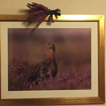 Han/Misafirhane The Bull West Tanfield